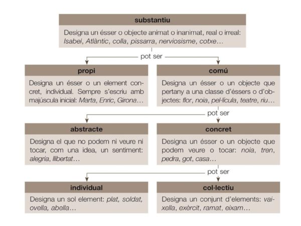 Noms – Aula de català