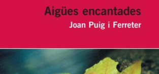 Per comprendre Aigües encantades, de Puig i Ferreter by Domenec